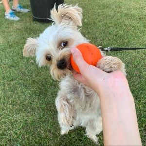 Meet your Posher, Alaina